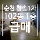 청솔행정사 이미지