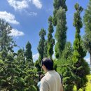 에그플란트(eggplant) 이미지