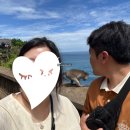 비카어게인 | 26년 어게인 발리 (프라이빗 남부투어)