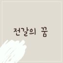 킴스 펫클리닉 이미지