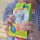 무네미로448번길 | 2026년도 인천광역시교육감배 오리엔티어링대회 참가후기