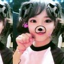 김세동 카카오 검색결과