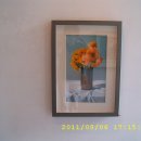 박혁동 카카오 검색결과