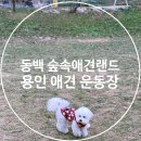 동백 숲속애견랜드 이미지