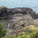 숯방 나드리 이미지