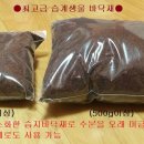 계전농장 Daum카페