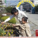 서일유치원 이미지