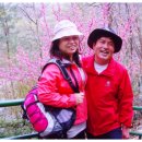 교하중학교 이미지