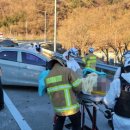 해양전복 통영인터넷뉴스