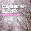 하방천변길 이미지