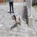 법동주공3단지 이미지