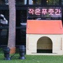 작은푸줏간