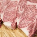 와규앤막창 이미지