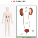 온기한의원 이미지