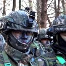 한국 육군과학화전투훈련단(KCTC))의 실감나는 워게임, 해외반응 이미지