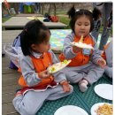 세중초교 병설유치원 이미지