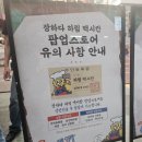 하림 맥시칸치킨 | [성수동 팝업] 장하다 하림 맥시칸 팝업스토어-야장 치맥 후기(당일도계치킨)