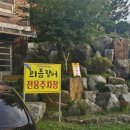 의픔장어 이미지