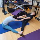 본기구필라테스 | 대전 동구 용운동 체력관리 자세관리 다이어트에 짱 좋은 본기구필라테스