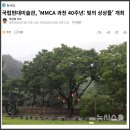 메가엠지씨커피경북봉화점 | 🐯간추린 생활문화뉴스 제목모음 2026.0709.목