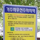 육대장무거점 이미지