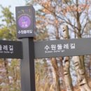 광교호수로-1 이미지