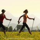 전신 걷기 운동 노르딕 워킹 이미지