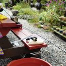 돌담집펜션 이미지