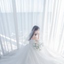 D4. 부산 로라스튜디오 / 블랑드윈느 아린드레스 후기