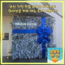 틸다그린 부산기장점 | 부산 기장 핫플 신년해맞이 오션뷰대형카페 웨이브온커피 메뉴 주차 내돈내산