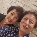 70대 노부부의 이야기 이미지