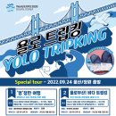 욜로왕 이미지