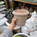 적성식물병원 이미지