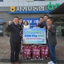 서귀포사랑