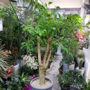 수원시 팔달구 팔달문로81번길 이미지