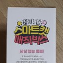 스마트캣 이미지