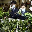 보부축산 이미지