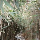 동주남목장 | 낙동정맥 종주기(안적고개에서 지내고개까지)