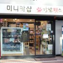 강남펫스타일 이미지