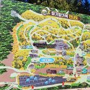 베스트8 이미지
