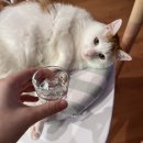 장군육회 경산점 이미지