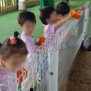 둥이목장 이미지