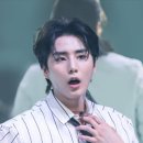 낭만고양이 이미지