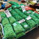 광성상가 이미지