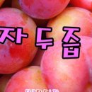 정을성농장 네이버블로그