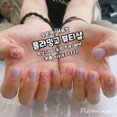 플라밍고뷰티샵