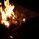 정선 국민여가캠핑장 이미지