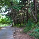 팔공산올레길 1코스 이미지