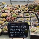 에버그린농장 이미지