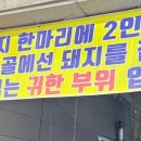 신부산갈매기 네이버블로그